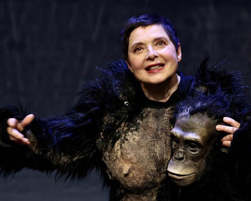 Bassanonet.it Al Remondini, arriva <em>Darwin's Smile</em>