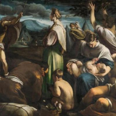 Bassanonet.it Quando l’affare quaglia