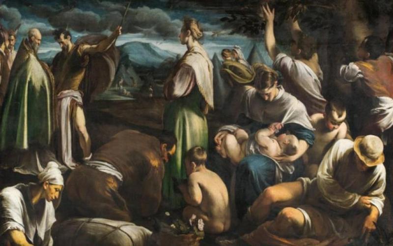 Bassanonet.it Quando l’affare quaglia