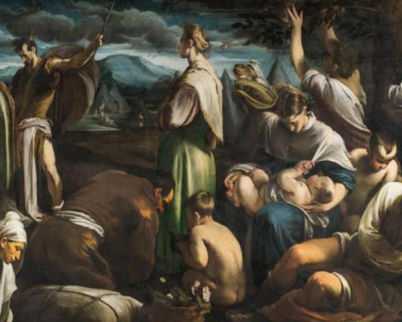 Bassanonet.it Quando l’affare quaglia