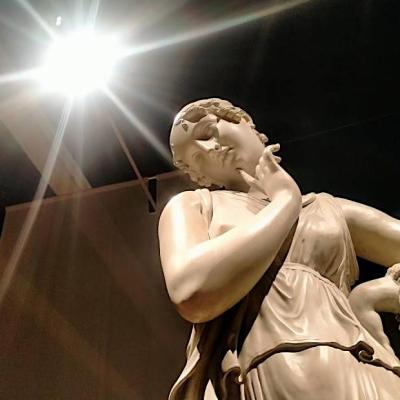 Bassanonet.it Vota Antonio, Vota Antonio bis