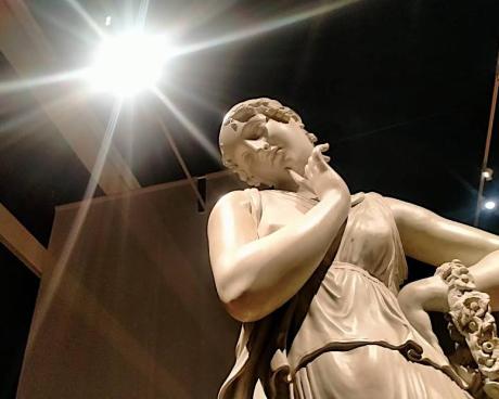 Bassanonet.it Vota Antonio, Vota Antonio bis