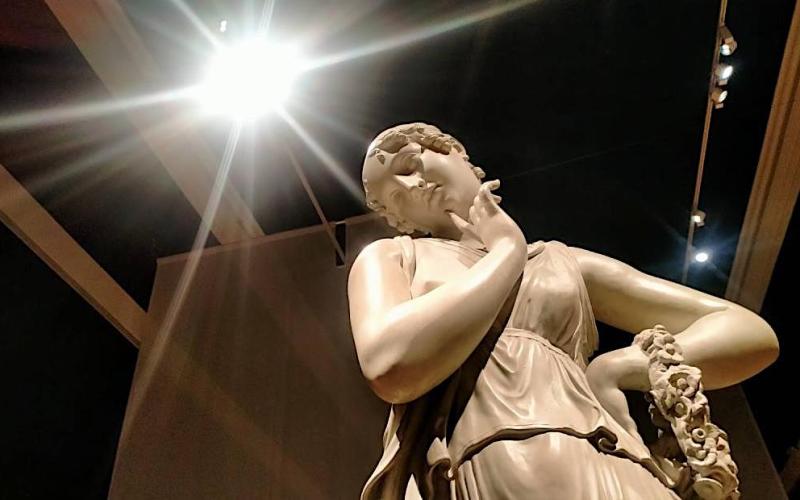 Bassanonet.it Vota Antonio, Vota Antonio bis