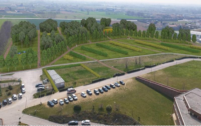 Bassanonet.it Il vigile urbano