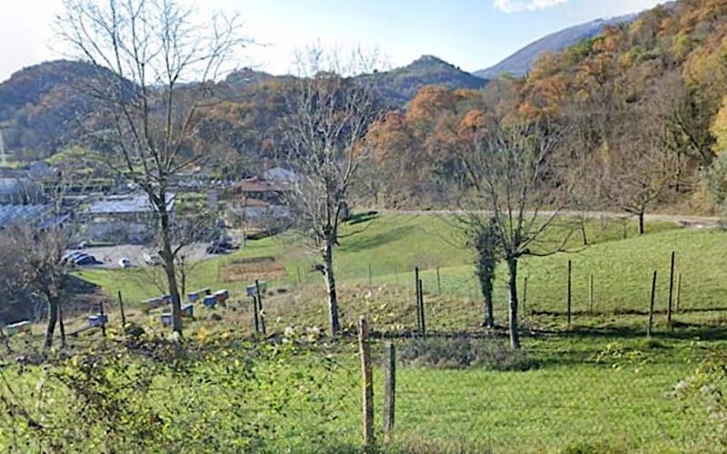 Bassanonet.it Impressioni di settembre