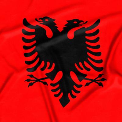 Bassanonet.it Albania, il paese delle Aquile, nel contesto internazionale