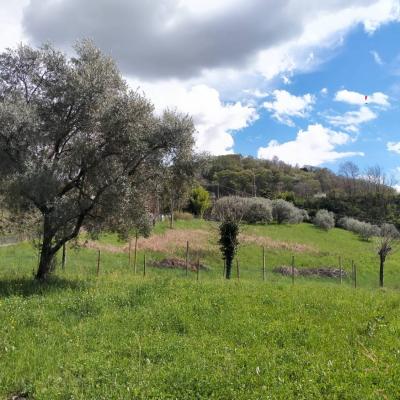 Bassanonet.it Fuga di Pfas