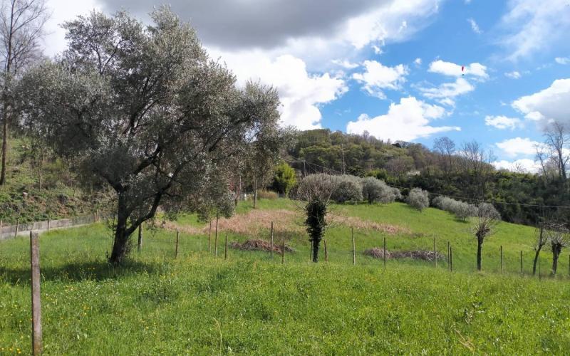 Bassanonet.it Fuga di Pfas