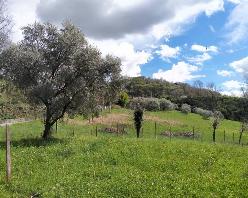 Bassanonet.it Fuga di Pfas