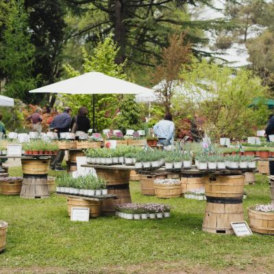 Bassanonet.it Giardino Parolini, un patrimonio botanico di Rara Pianta