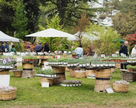 Bassanonet.it Giardino Parolini, un patrimonio botanico di Rara Pianta