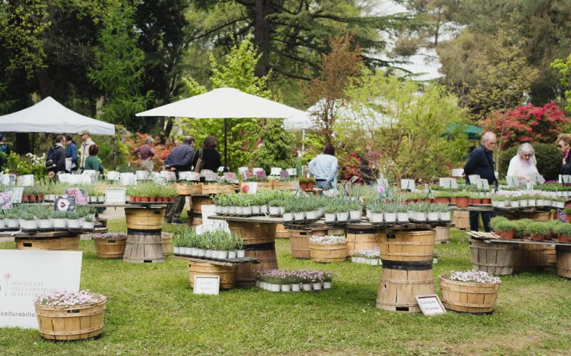 Bassanonet.it Giardino Parolini, un patrimonio botanico di Rara Pianta