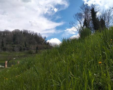 Bassanonet.it Parola di Pfinco