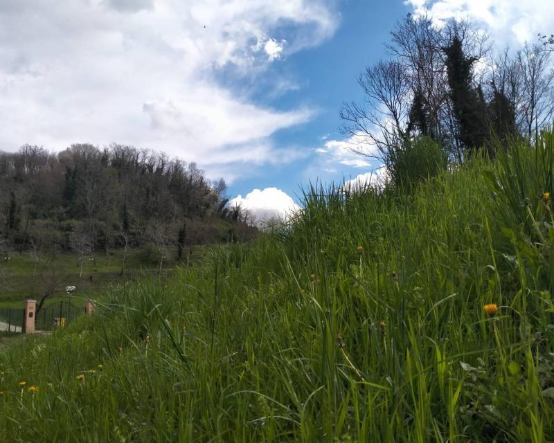 Bassanonet.it Parola di Pfinco