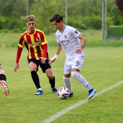 Bassanonet.it Bassano al tappeto