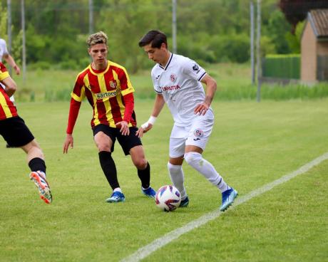 Bassanonet.it Bassano al tappeto