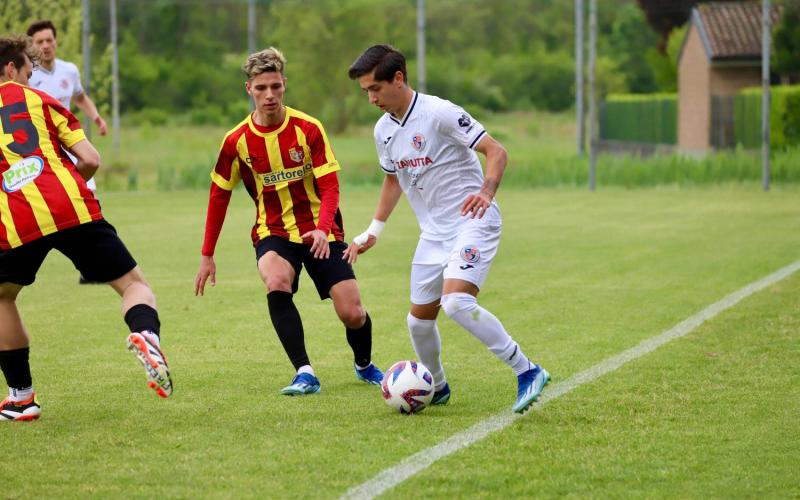 Bassanonet.it Bassano al tappeto