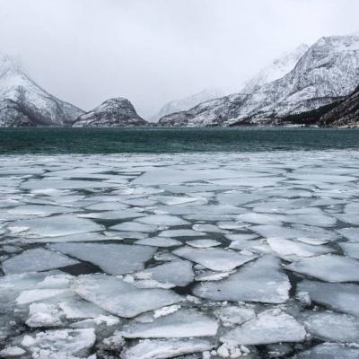 Bassanonet.it 2040: verso la glaciazione demografica