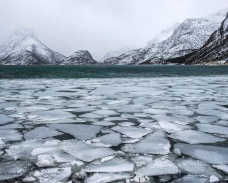 Bassanonet.it 2040: verso la glaciazione demografica