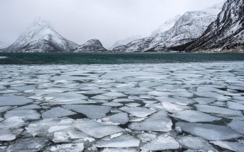 Bassanonet.it 2040: verso la glaciazione demografica