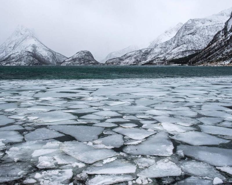 Bassanonet.it 2040: verso la glaciazione demografica