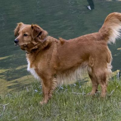 Bassanonet.it Yes We Can