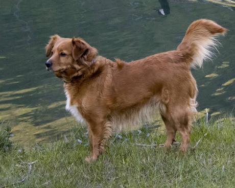 Bassanonet.it Yes We Can