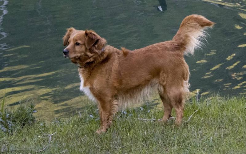 Bassanonet.it Yes We Can