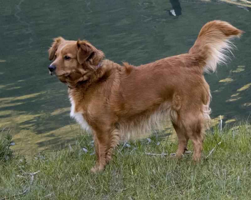 Bassanonet.it Yes We Can