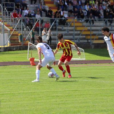 Bassanonet.it Ko ininfluente.