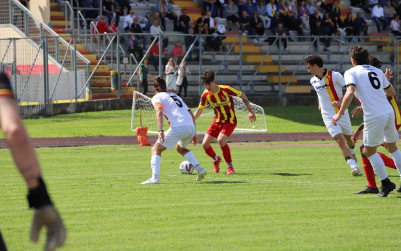 Bassanonet.it Ko ininfluente.