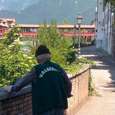 Bassanonet.it El Vecio Alpin