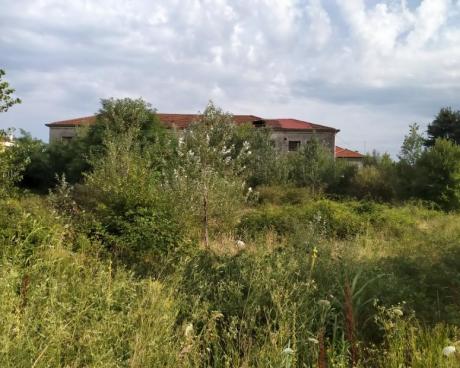 Bassanonet.it Mar Glaciale