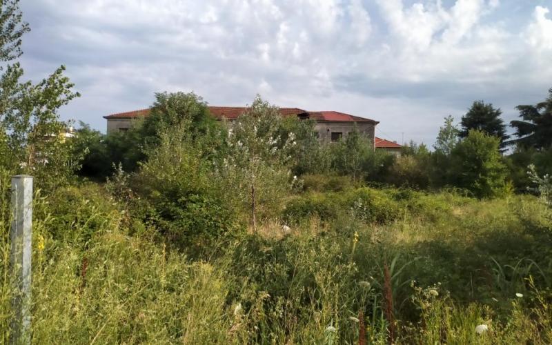 Bassanonet.it Mar Glaciale