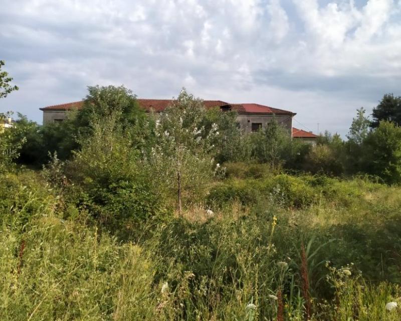 Bassanonet.it Mar Glaciale