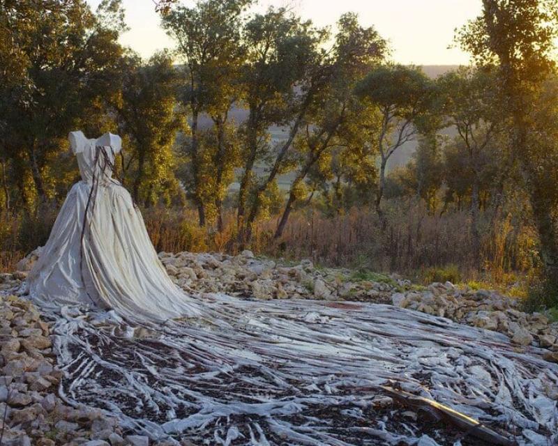 Bassanonet.it Modalità lettura 3 - n.16