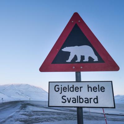 Bassanonet.it Le Svalbard, futuro terreno di scontro tra Nato e Russia?