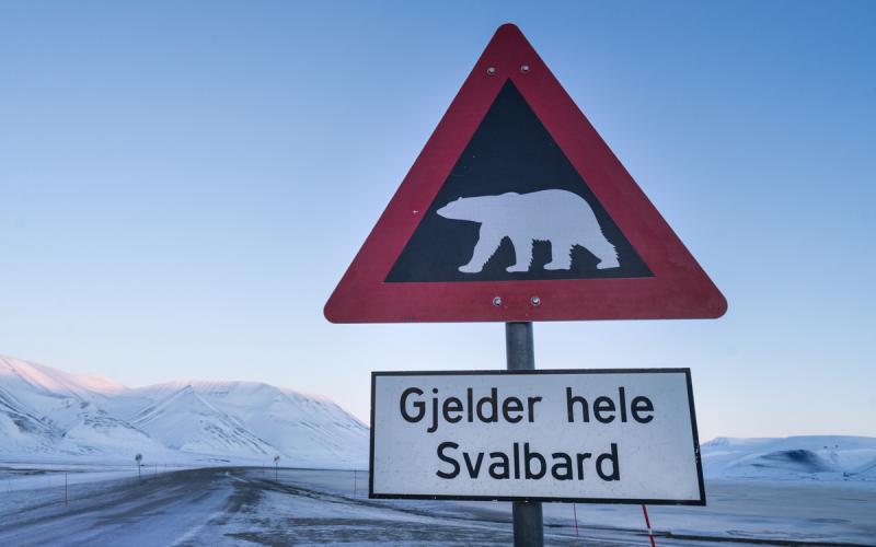 Bassanonet.it Le Svalbard, futuro terreno di scontro tra Nato e Russia?