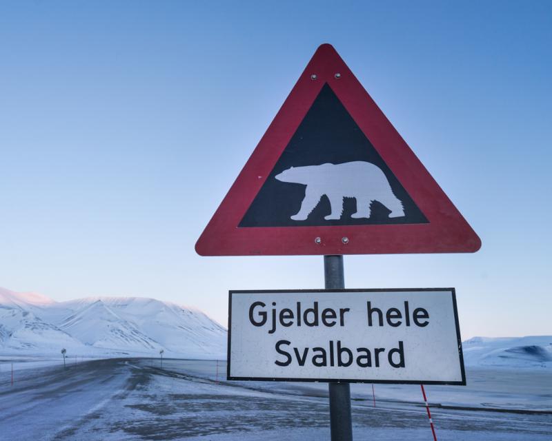 Bassanonet.it Le Svalbard, futuro terreno di scontro tra Nato e Russia?