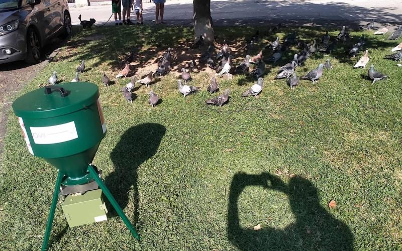 Bassanonet.it Mai dire mais