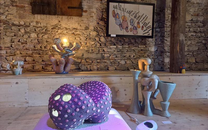 Bassanonet.it Adorabili Creature