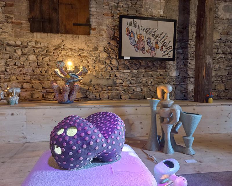 Bassanonet.it Adorabili Creature