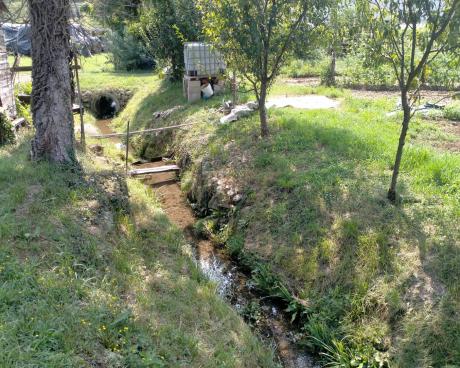 Bassanonet.it Concerto per Arpav