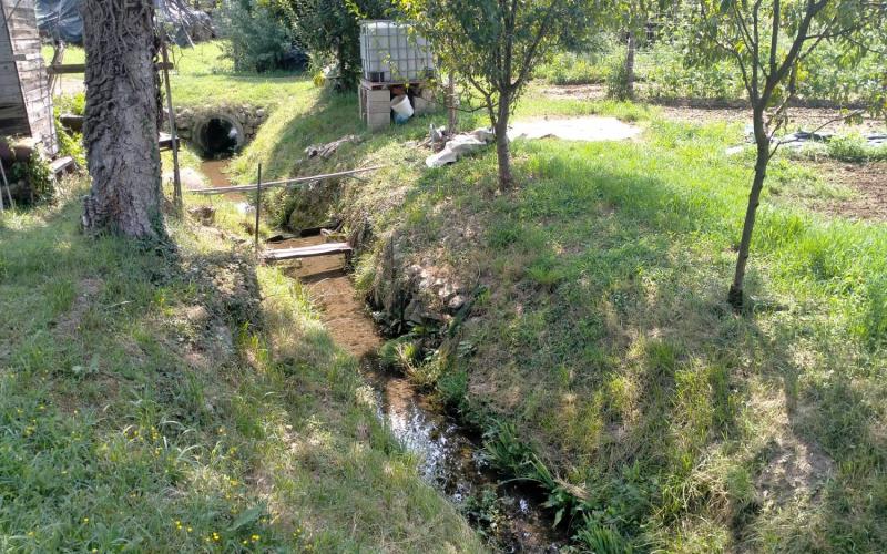 Bassanonet.it Concerto per Arpav