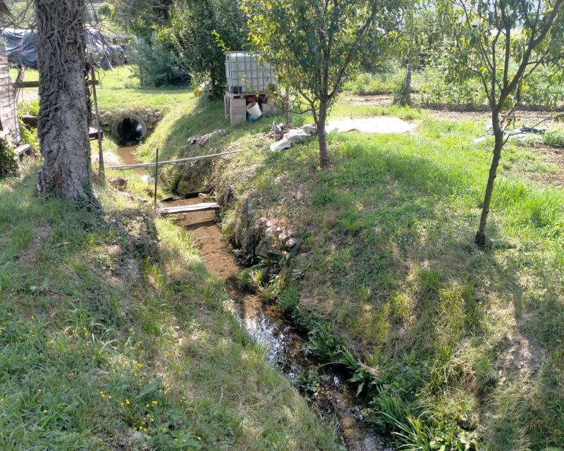 Bassanonet.it Concerto per Arpav