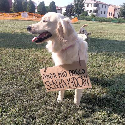 Bassanonet.it Hot Dogs