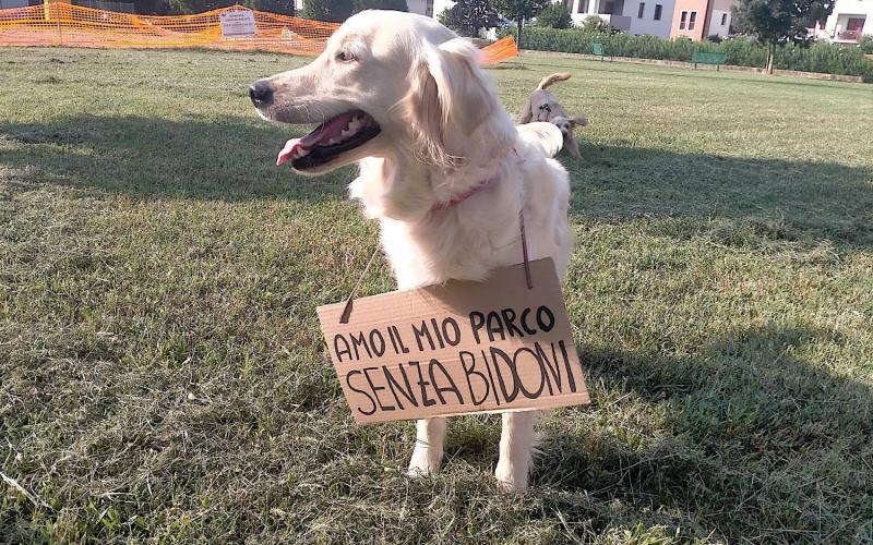 Bassanonet.it Hot Dogs