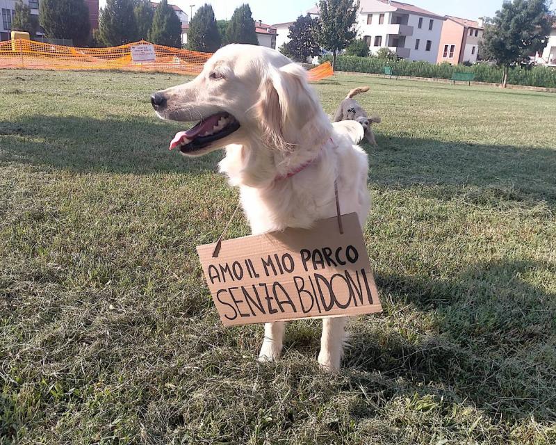 Bassanonet.it Hot Dogs