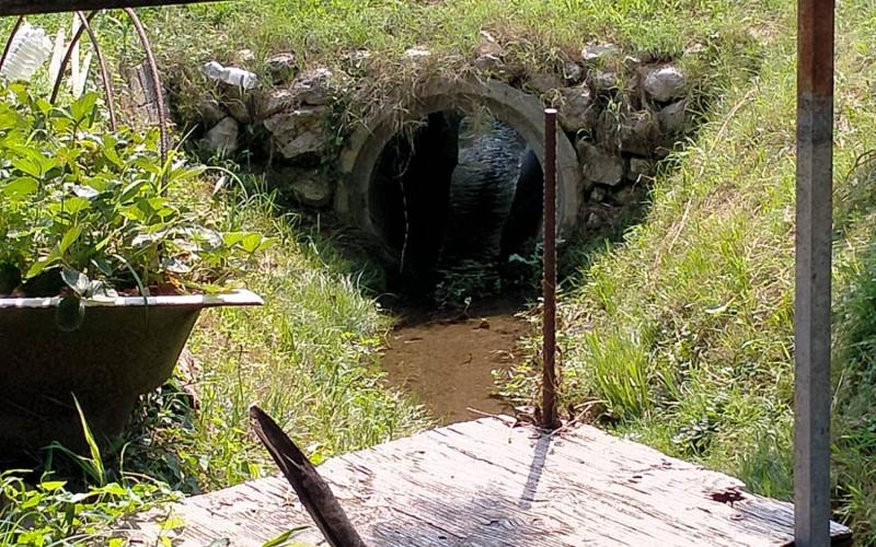 Bassanonet.it Tutti insieme aPfassionatamente