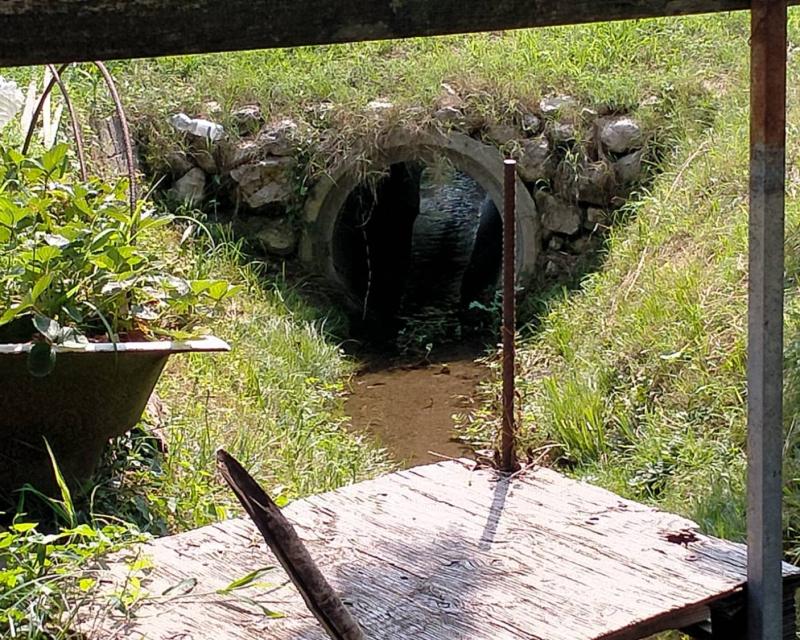 Bassanonet.it Tutti insieme aPfassionatamente